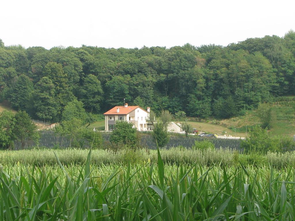 Agriturismo Casamela Paderno del Grappa Exterior photo